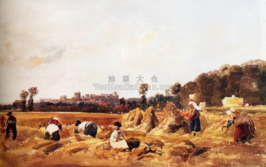 Cornfield Windsor - 彼特·德·温特